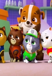 Paw Patrol