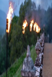 The Celebrity Traitors