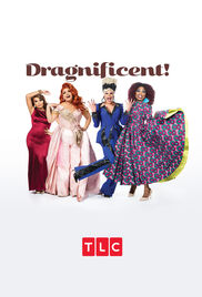 DRAGNIFICENT